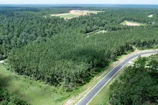 15291 Frst Grv Dr, Willis, TX 77378 - Photo 3