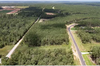 15291 Forest Grove Drive, Willis, TX 77378 - Photo 17