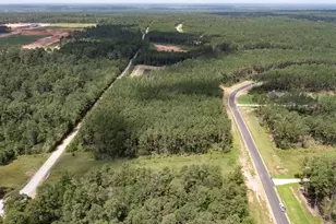 15291 Frst Grv Dr, Willis, TX 77378 - Photo 17