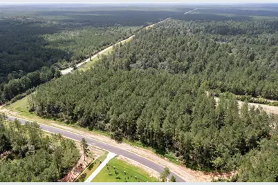 15291 Forest Grove Drive, Willis, TX 77378 - Photo 7