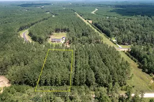 15291 Frst Grv Dr, Willis, TX 77378 - Photo 13