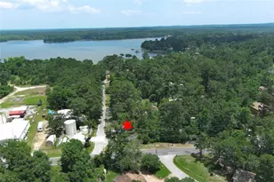 6 Hickory Hollow, Huntsville, TX 77320 - Photo 41