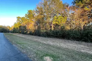 28921 Mustang Dr, Waller, TX 77484 - Photo 1