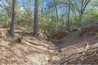 0035 Hwy 249, Plantersville, TX 77363 - Photo 5
