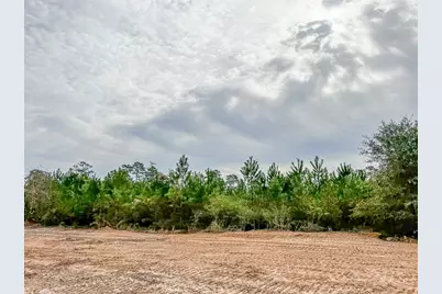 0000000 Cr 2305 S, Moss Hill, TX 77327 - Photo 5