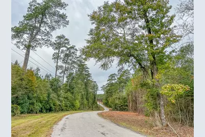 0000000 Cr 2305 S, Moss Hill, TX 77327 - Photo 7