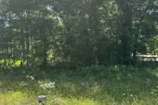 15829 Cottonwood Dr, Montgomery, TX 77356 - Photo 1