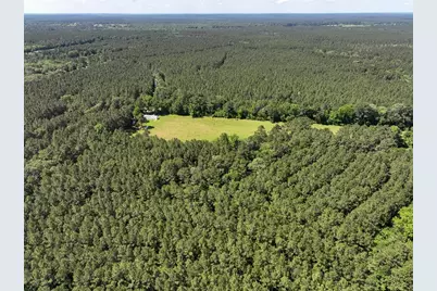 38 Groveton Flat Prairie Rd, Groveton, TX 75854 - Photo 9