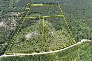 38 Groveton Flat Prairie Rd, Groveton, TX 75854 - Photo 1