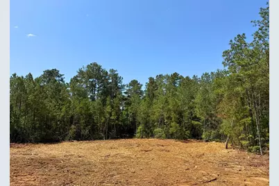 4 Camp Ruby Road, Livingston, TX 77351 - Photo 5