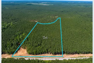 4 Camp Ruby Road, Livingston, TX 77351 - Photo 1