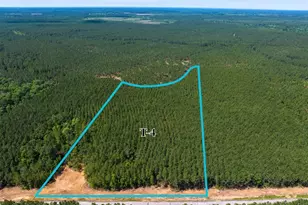 4 Camp Ruby Rd, Livingston, TX 77351 - Photo 1