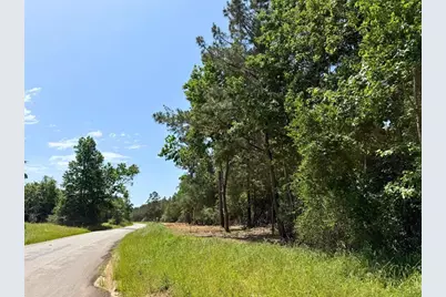 4 Camp Ruby Road, Livingston, TX 77351 - Photo 7