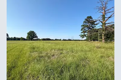 Tbd Hot Springs Drive, Trinity, TX 75862 - Photo 3