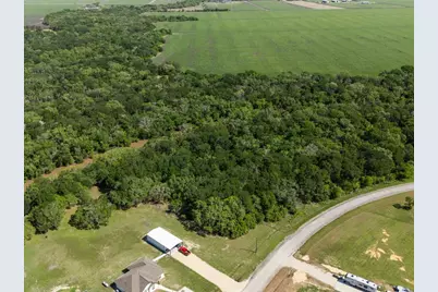 10 River Hollow Way, Blessing, TX 77419 - Photo 5