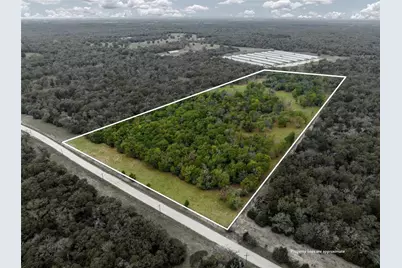 Tbd Lcr 700, Kosse, TX 76653 - Photo 3