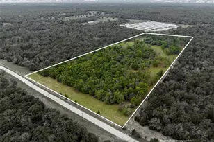 Tbd Lcr 700, Kosse, TX 76653 - Photo 3