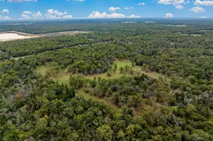 Tbd Lcr 700, Kosse, TX 76653 - Photo 9