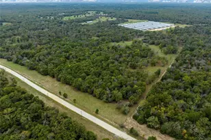 Tbd Lcr 700, Kosse, TX 76653 - Photo 11