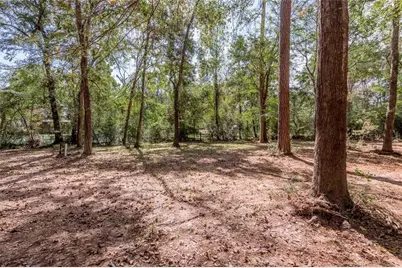 525 Canadian Drive, Trinity, TX 75862 - Photo 25