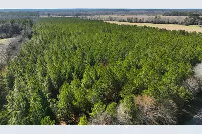 1 Kittrell Road, Oakhurst, TX 77359 - Photo 5