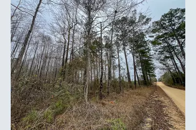 3 Fm 2626, Newton, TX 75966 - Photo 3