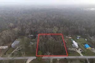 26889 N Short St, Splendora, TX 77372 - Photo 1