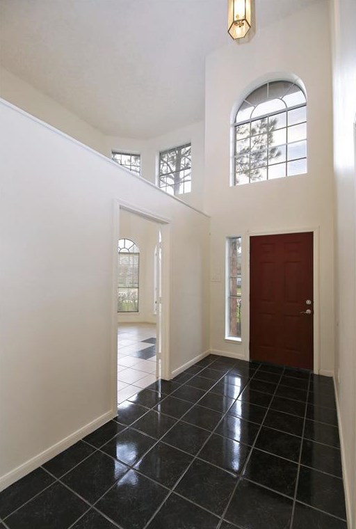 9507 Emery Hill Ct, Sugar Land TX  77498-1031 exterior