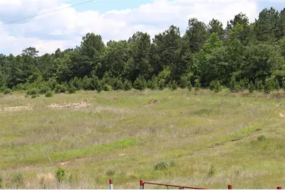 Tract 71 Private Road 1315, Centerville, TX 75833 - Photo 11