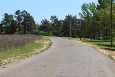 Tract 71 Private Road 1315, Centerville, TX 75833 - Photo 5