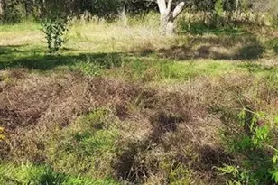 8828 Calagna Rd, Hitchcock, TX 77563 - Photo 1