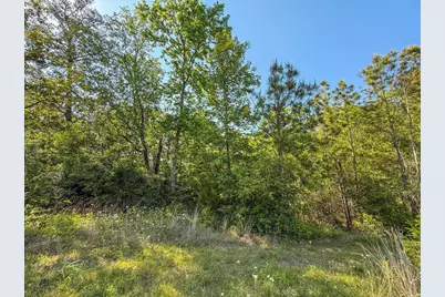 Tbd Hwy 69, Woodville, TX 75979 - Photo 31