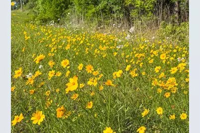 Tbd Hwy 69, Woodville, TX 75979 - Photo 13