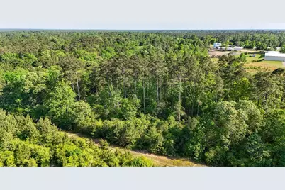 Tbd Hwy 69, Woodville, TX 75979 - Photo 33