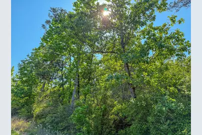 Tbd Hwy 69, Woodville, TX 75979 - Photo 15