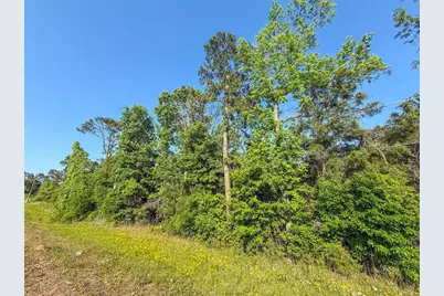 Tbd Hwy 69, Woodville, TX 75979 - Photo 21