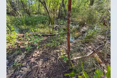 Tbd Hwy 69, Woodville, TX 75979 - Photo 17