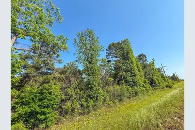 Tbd Hwy 69, Woodville, TX 75979 - Photo 19