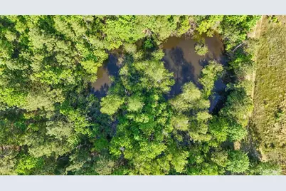 Tbd Hwy 69, Woodville, TX 75979 - Photo 37