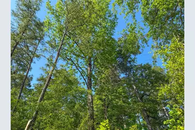 Tbd Hwy 69, Woodville, TX 75979 - Photo 9