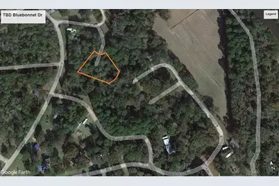 Tbd Bluebonnet Drive, Onalaska, TX 77360 - Photo 3