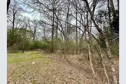 Tbd Bluebonnet Drive, Onalaska, TX 77360 - Photo 11