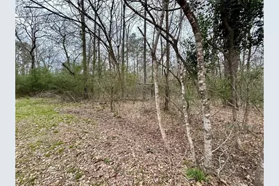 Tbd Bluebonnet Drive, Onalaska, TX 77360 - Photo 9