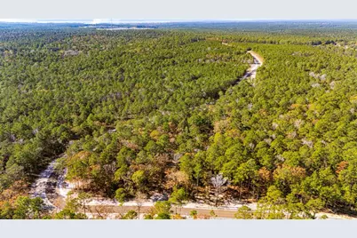 024 Magnolia Ranch Road, Onalaska, TX 77360 - Photo 9