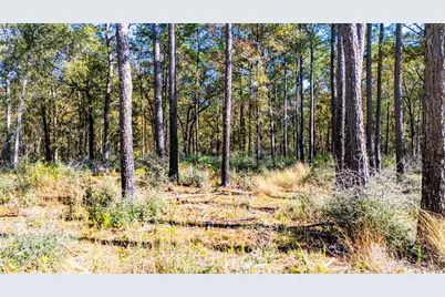 024 Magnolia Ranch Road, Onalaska, TX 77360 - Photo 3