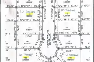 160 Turnrow Cv, Snook, TX 77878 - Photo 5