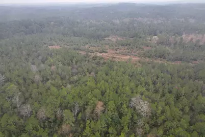 3 Rec Road 255, Colmesneil, TX 75938 - Photo 15