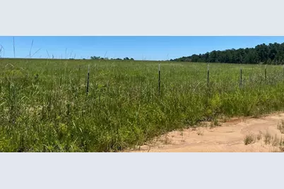 Tbd Cr 4025, Crockett, TX 75835 - Photo 11