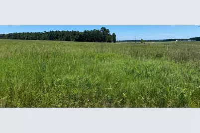 Tbd Cr 4025, Crockett, TX 75835 - Photo 13