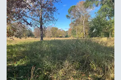 Tbd S Houston Avenue, Livingston, TX 77351 - Photo 11